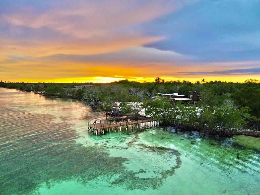 Medusa Hostel Isla Tintipan Tintipan Island Eksteriør bilde