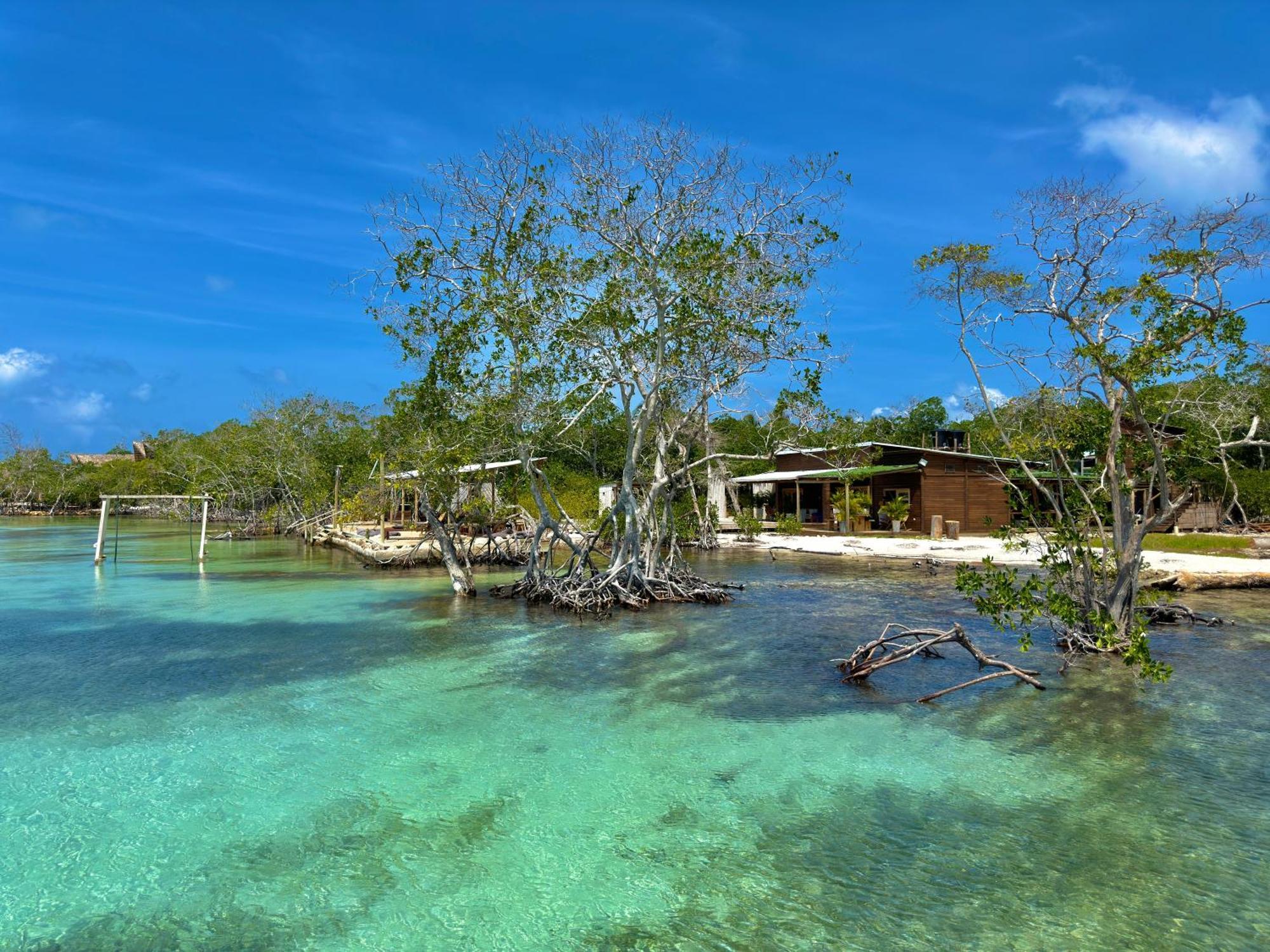 Medusa Hostel Isla Tintipan Tintipan Island Eksteriør bilde