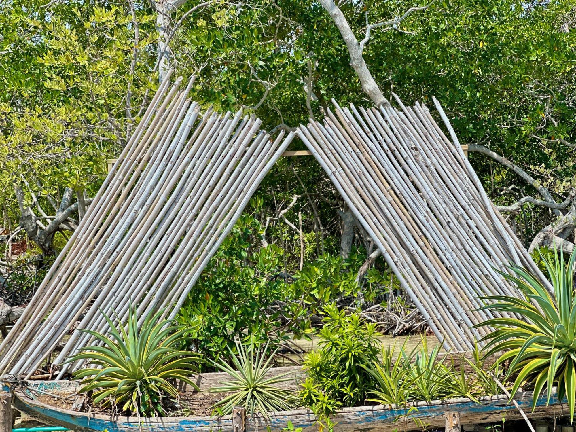 Medusa Hostel Isla Tintipan Tintipan Island Eksteriør bilde