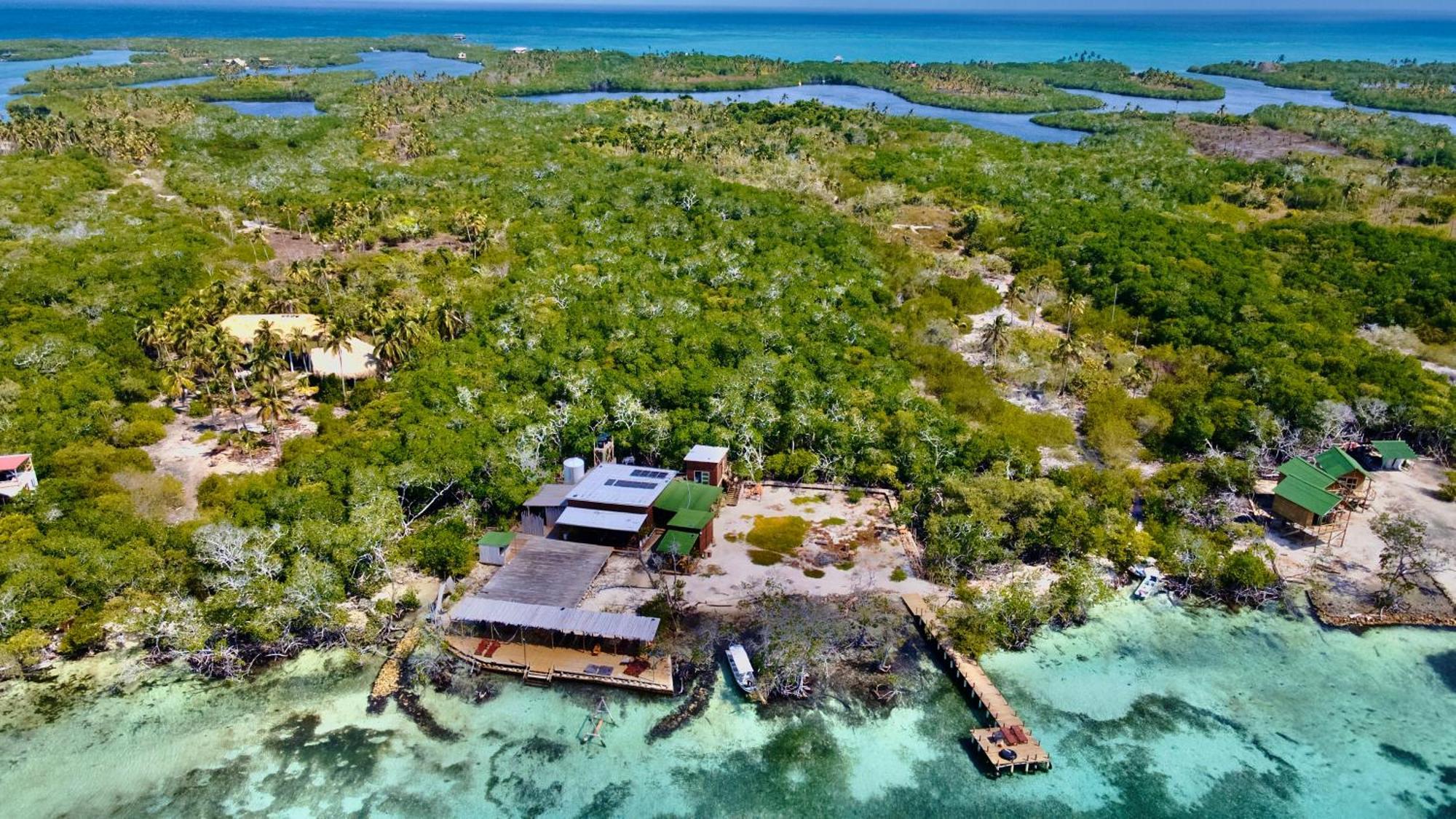 Medusa Hostel Isla Tintipan Tintipan Island Eksteriør bilde