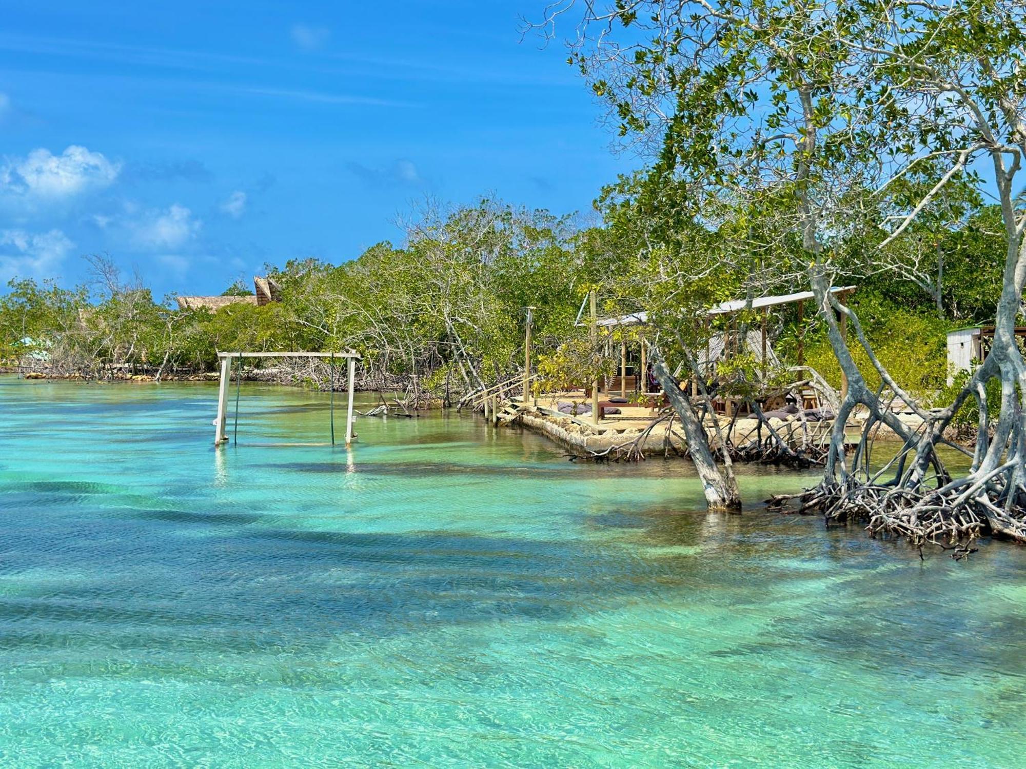 Medusa Hostel Isla Tintipan Tintipan Island Eksteriør bilde